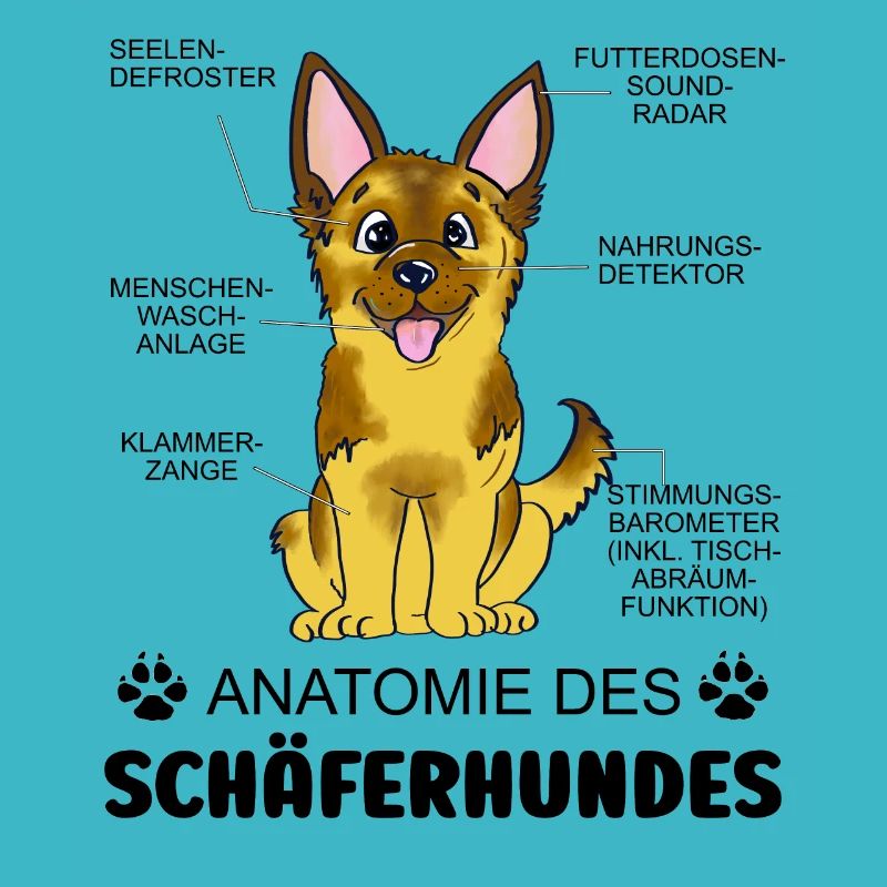 Anatomie des Schäferhundes
