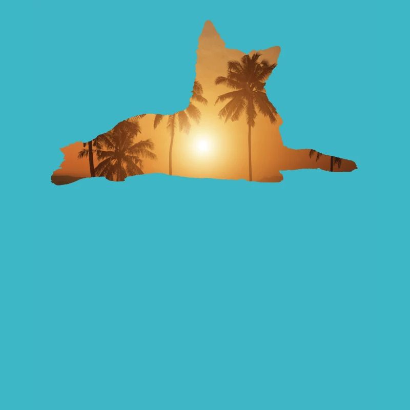 Plage d’été - Berger hollandais
