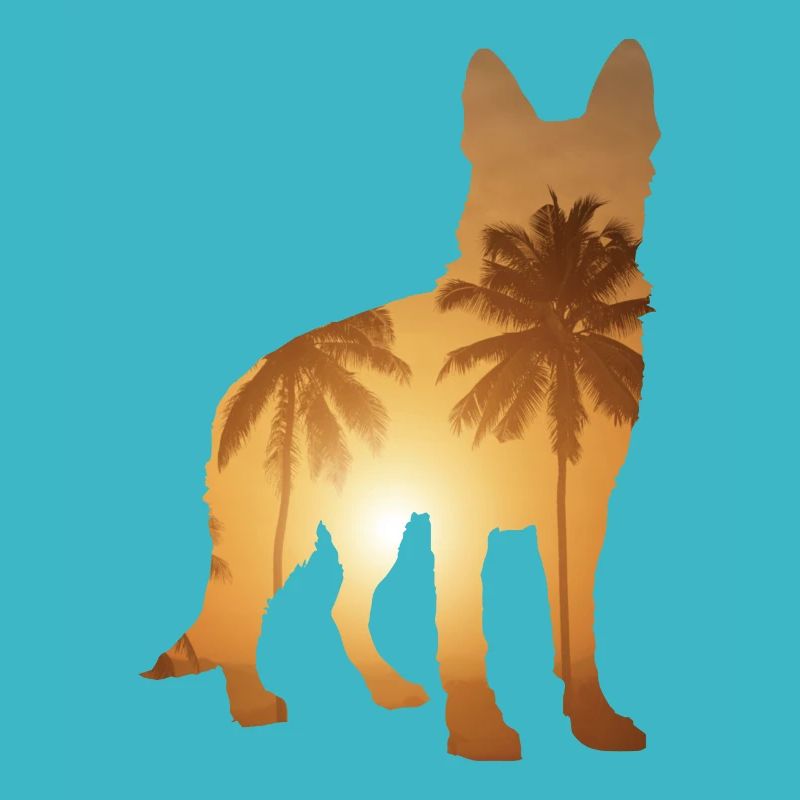 Sommerstrand - Deutscher Schäferhund