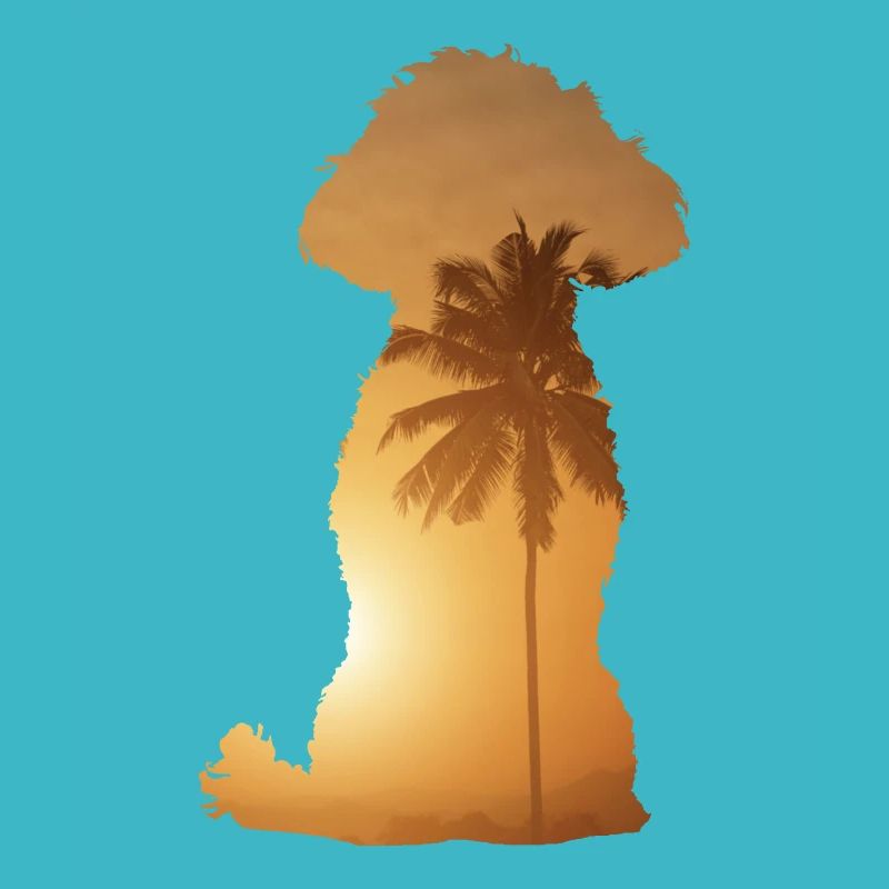Plage d’été - Caniche
