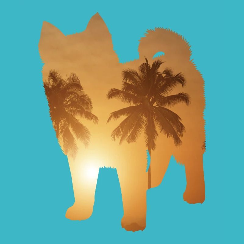 Plage d’été - Pomsky