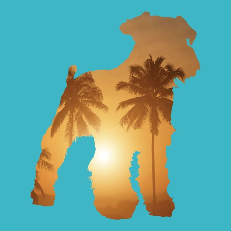 Plage d’été - Schnauzer