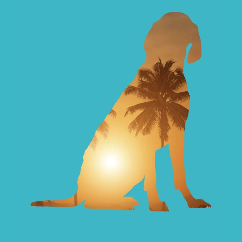 Sommerstrand - Vizsla
