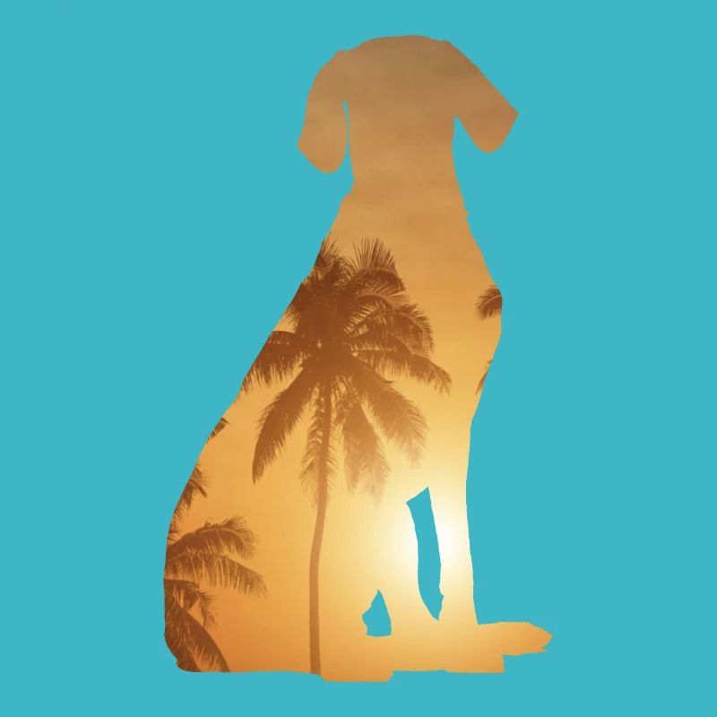 Summer Beach - Weimaraner