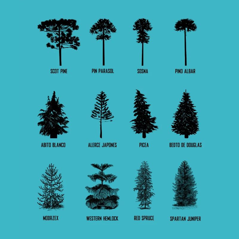 Arbre