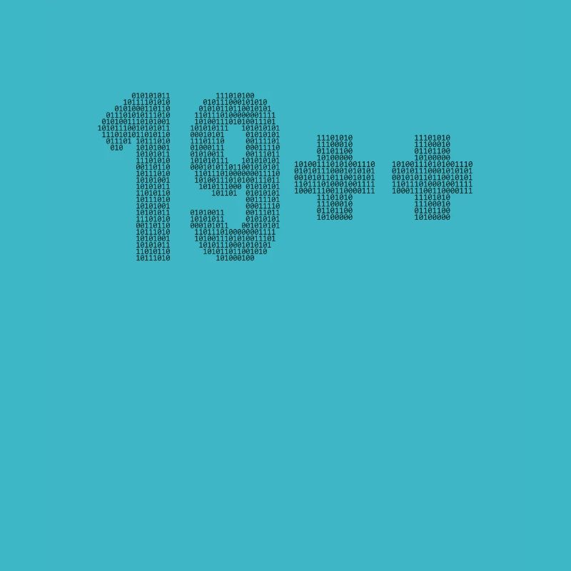19++ Programmierer Softwareingenieur Coder 20.