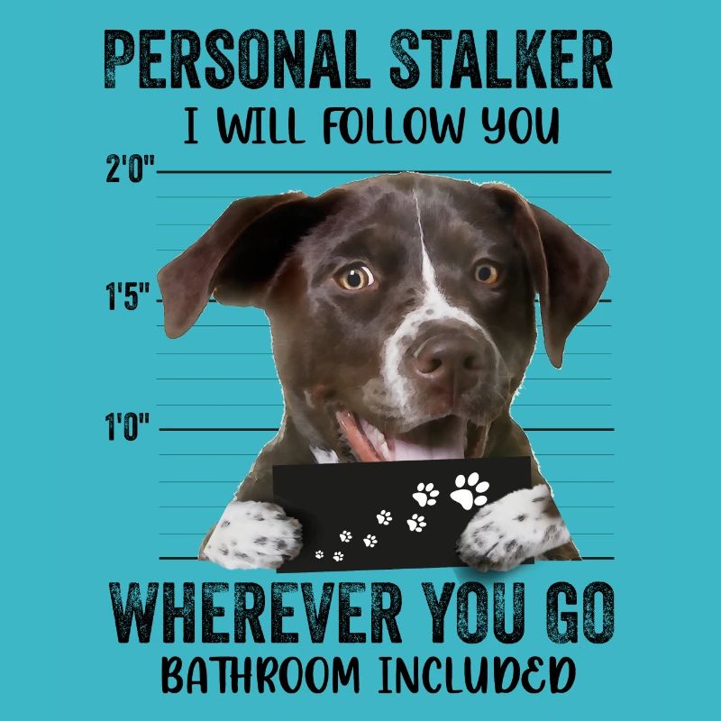Personal Stalker Dog German Shorthaired Pointer