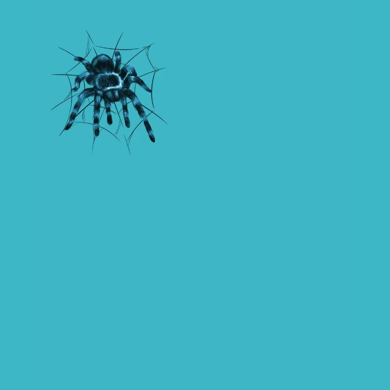 Tarantula large spider with spider web thread