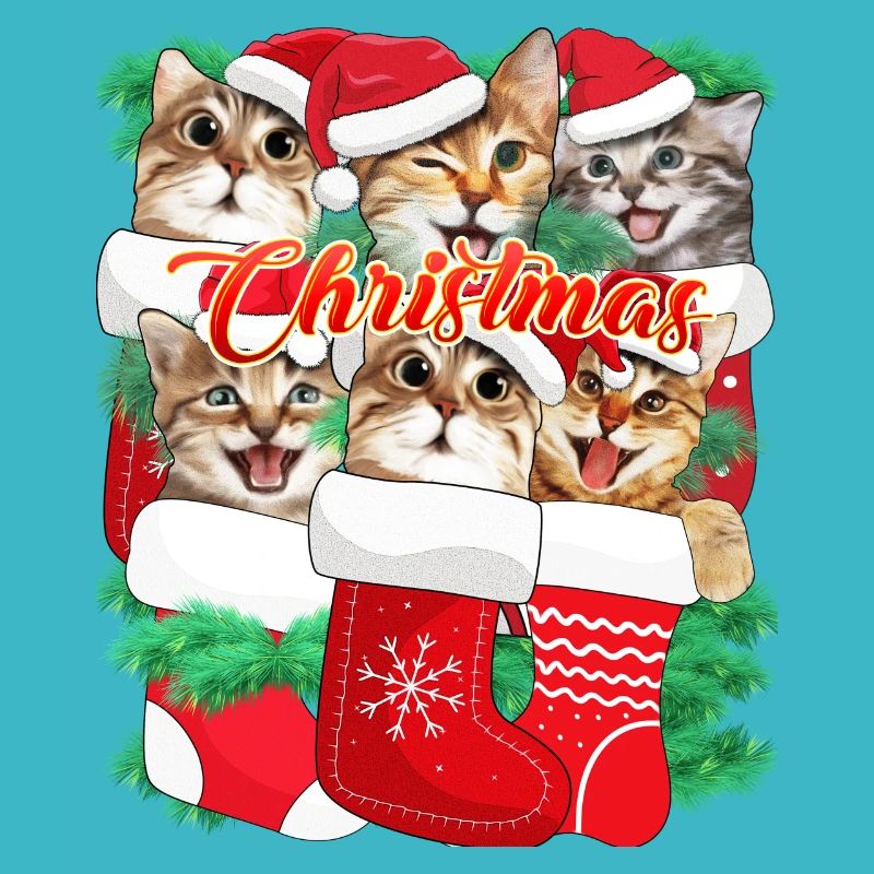 Expressions faciales de chat mignon - Chat de Noël