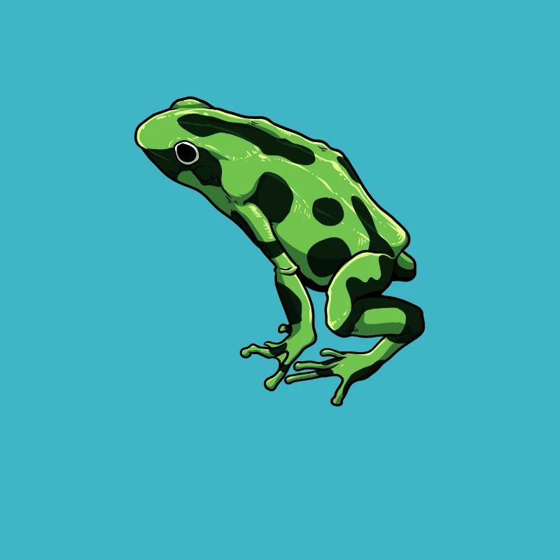 Dessin de grenouille - Terrible grenouille flèche empoisonnée