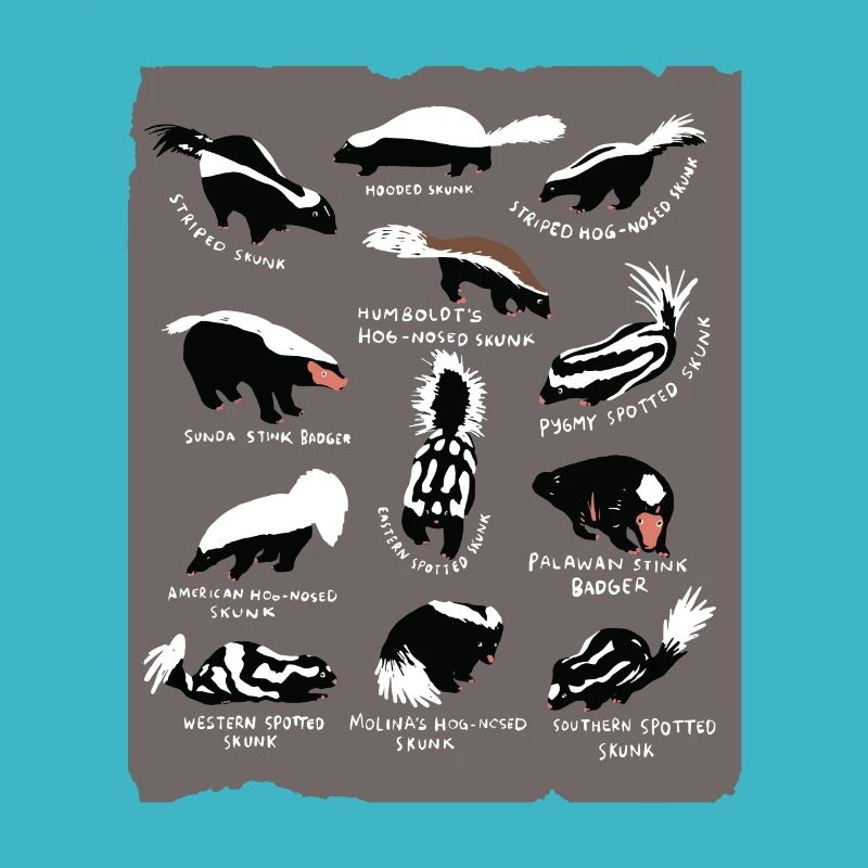 Espèces de mouffettes