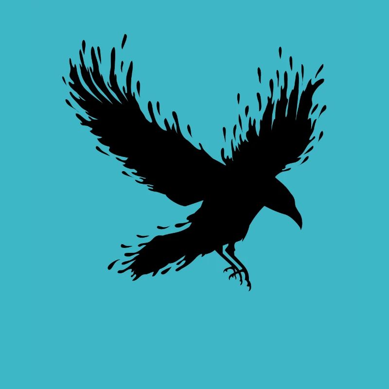 flying raven flying crow bird