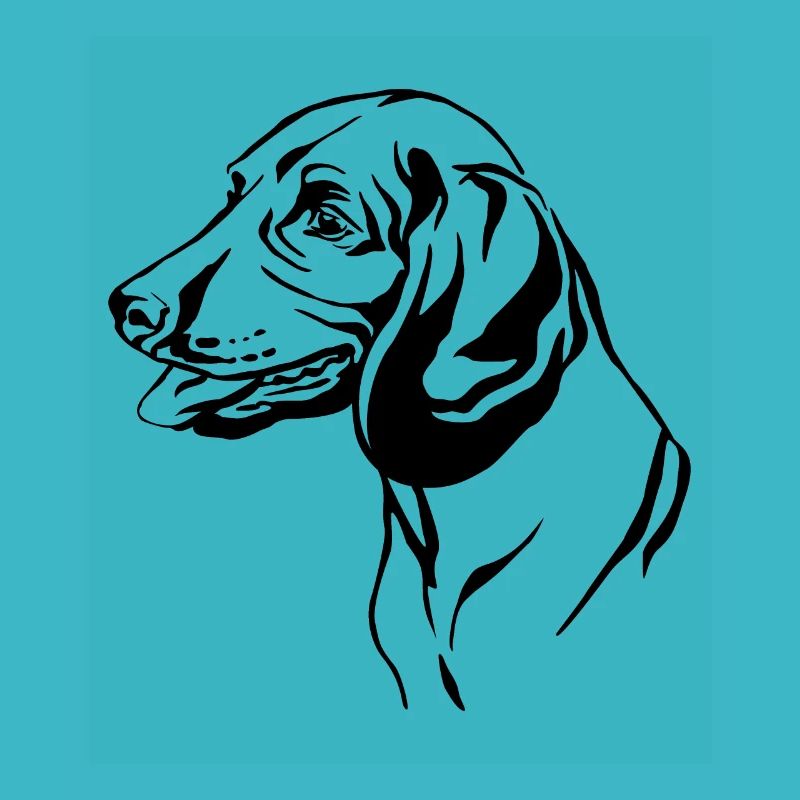 Bavarian mountain hound