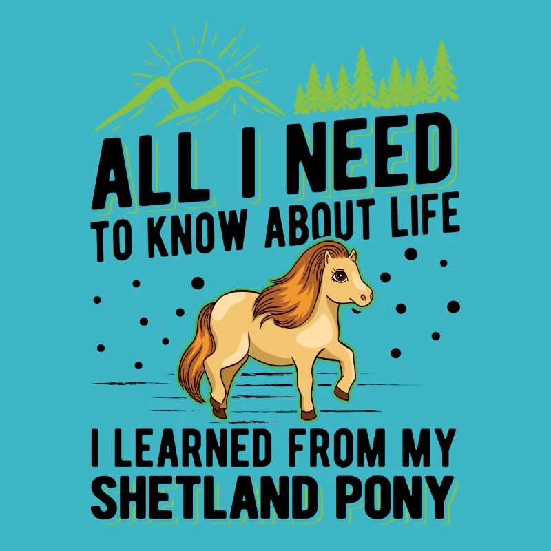 Poney Shetland Poney Shetland Shetty