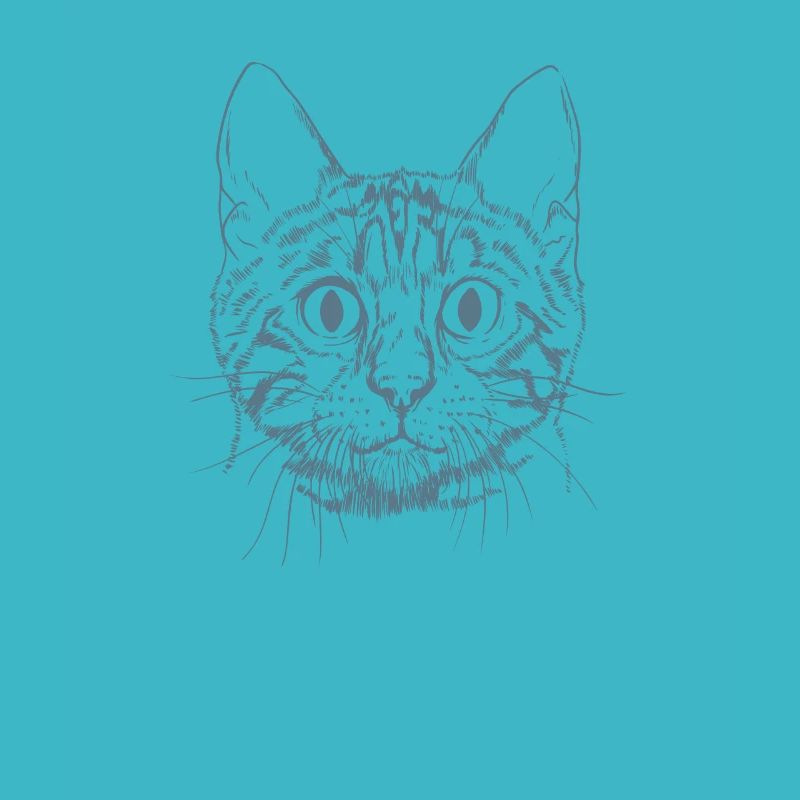 Bengal Cat Race de chat domestique