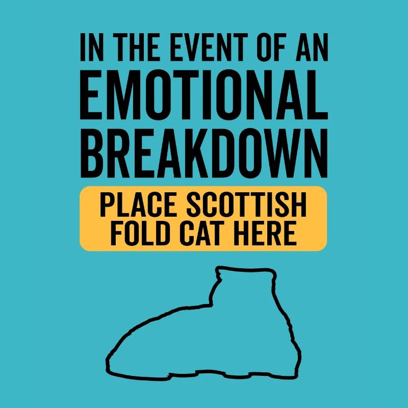 Émotionnel - Scottish Folding Cat