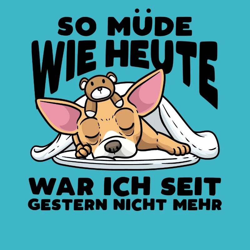 Chiweenie Hund Mit Kuscheltier Schlaf Schlummern