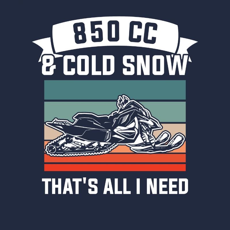 850 CC & Cold Snow That's All I Need Snowmobile