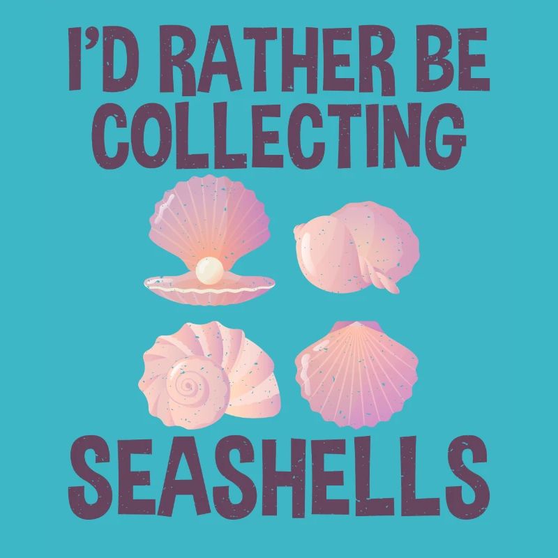 Collect Seashells Shells Collector