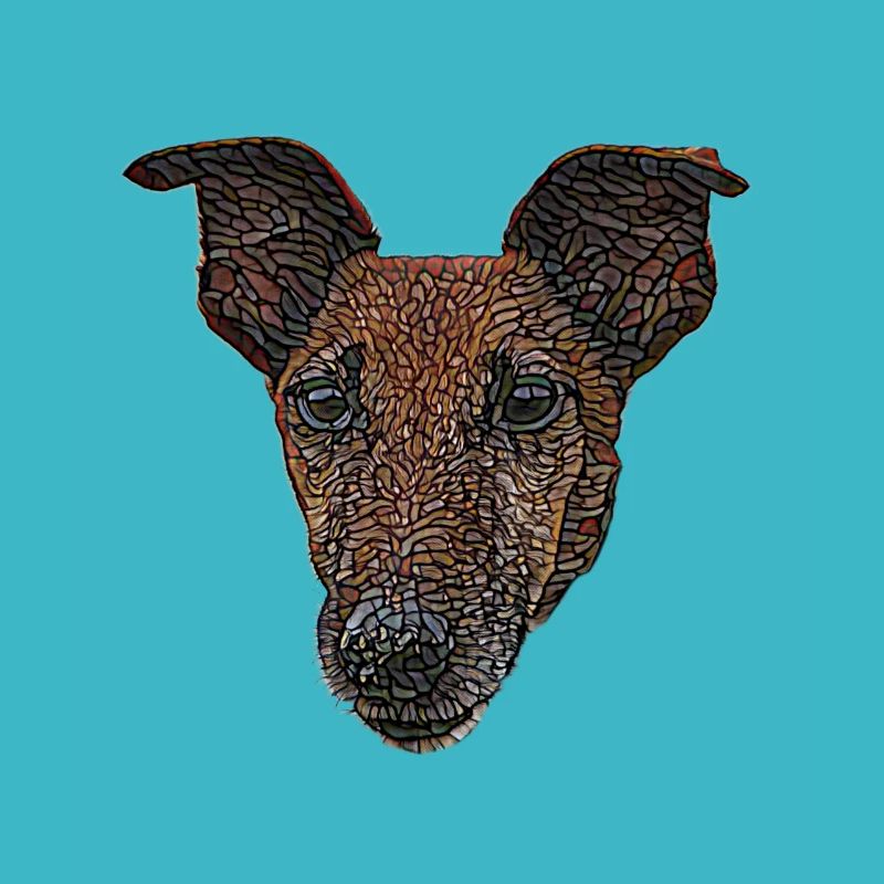 Glattes Foxterrier-Gesicht