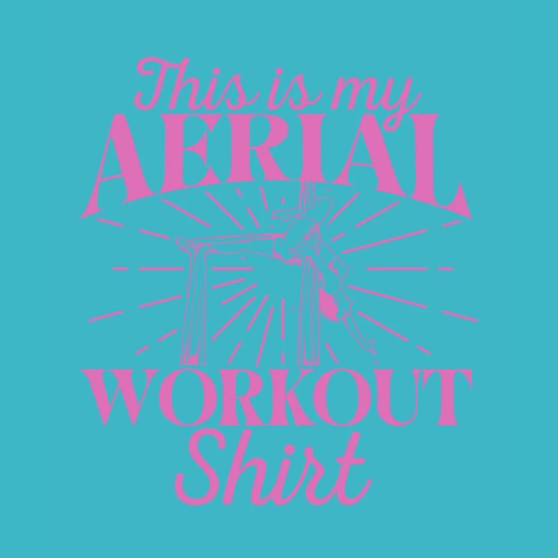 Aerial Silk Workout