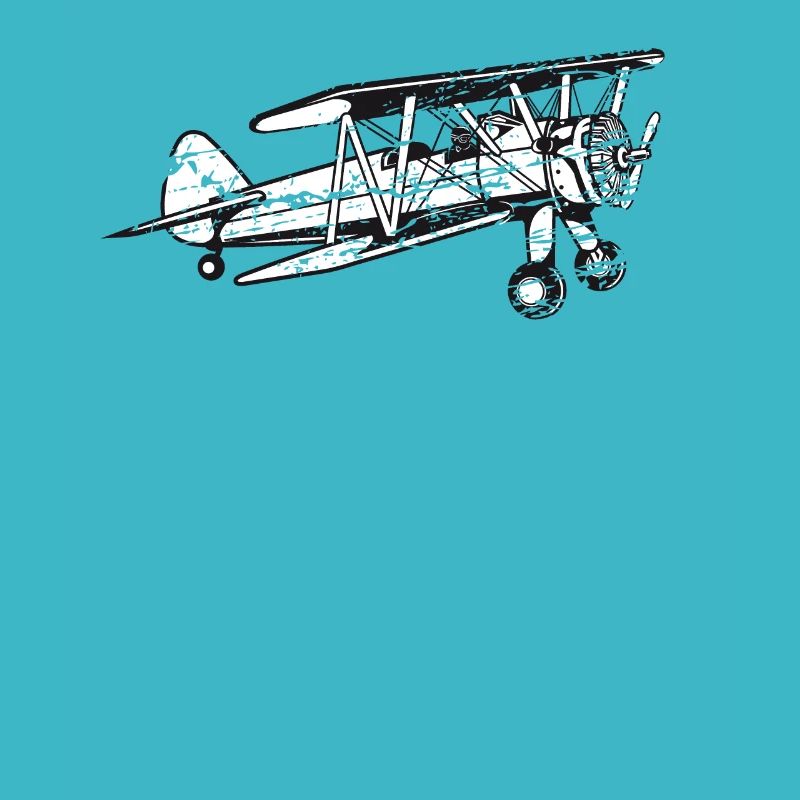 Biplane Airplane Pilot Flight Instructor Cadeau