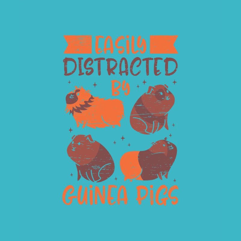 Facilement distrait par les cochons d’Inde