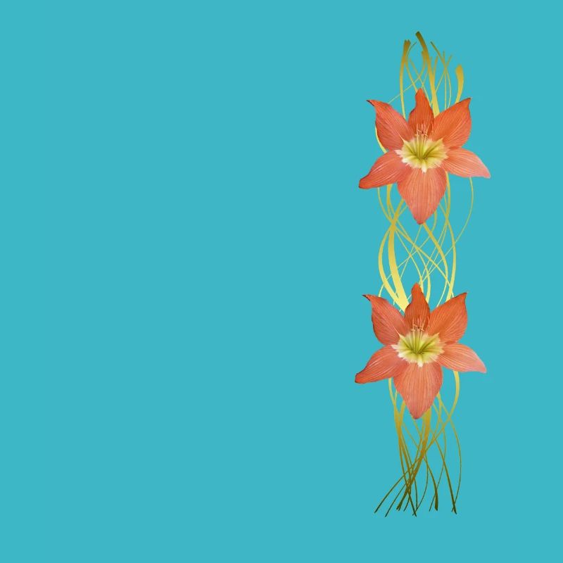 Amaryllis - Graphic - Blossoms - tropical flowers