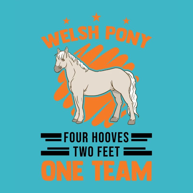 Welsh Pony 4 hooves 2 legs A team