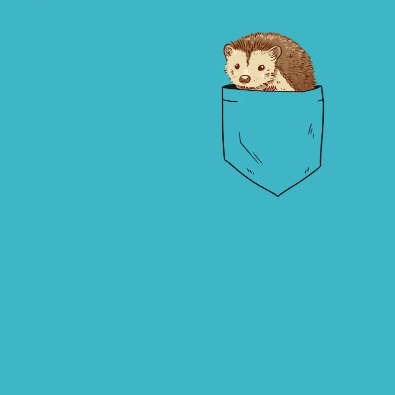 Igel in Brusttasche