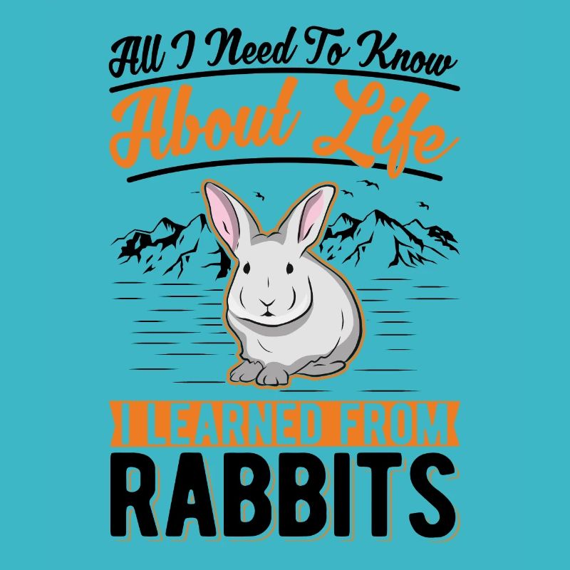 Lapin lapin lapin lapin