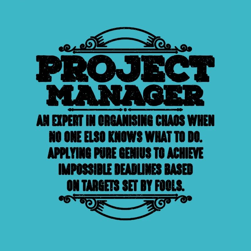 Chef de projet Un expert en chef d’équipe de projet
