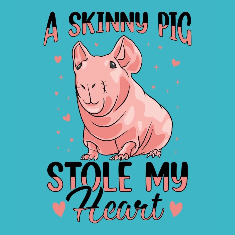 Cochon d’Inde sans poils Cochon maigre