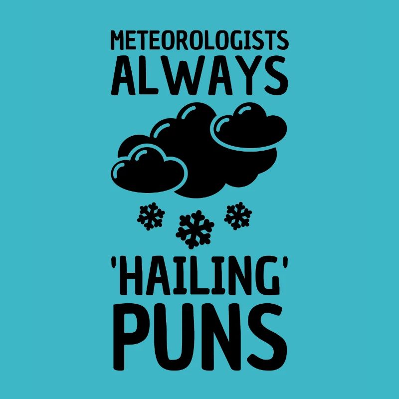 Meteorology pun for meteorologist