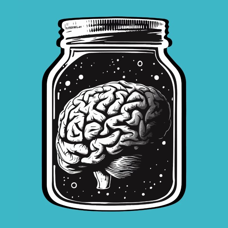 A BRAIN IN A JAR