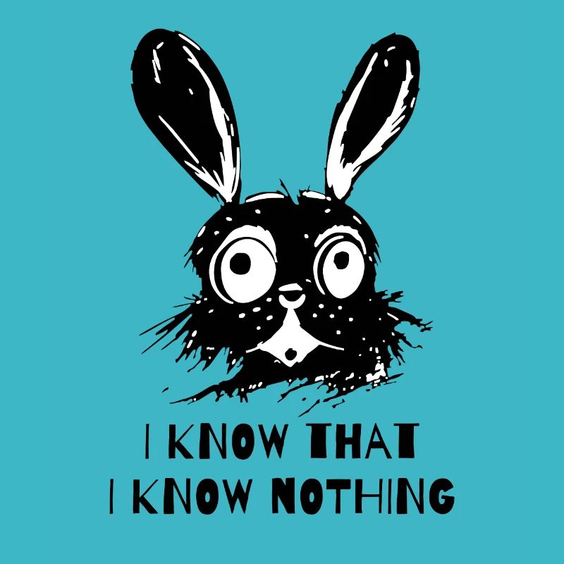 I know that I don't know anything - Wise Rabbit