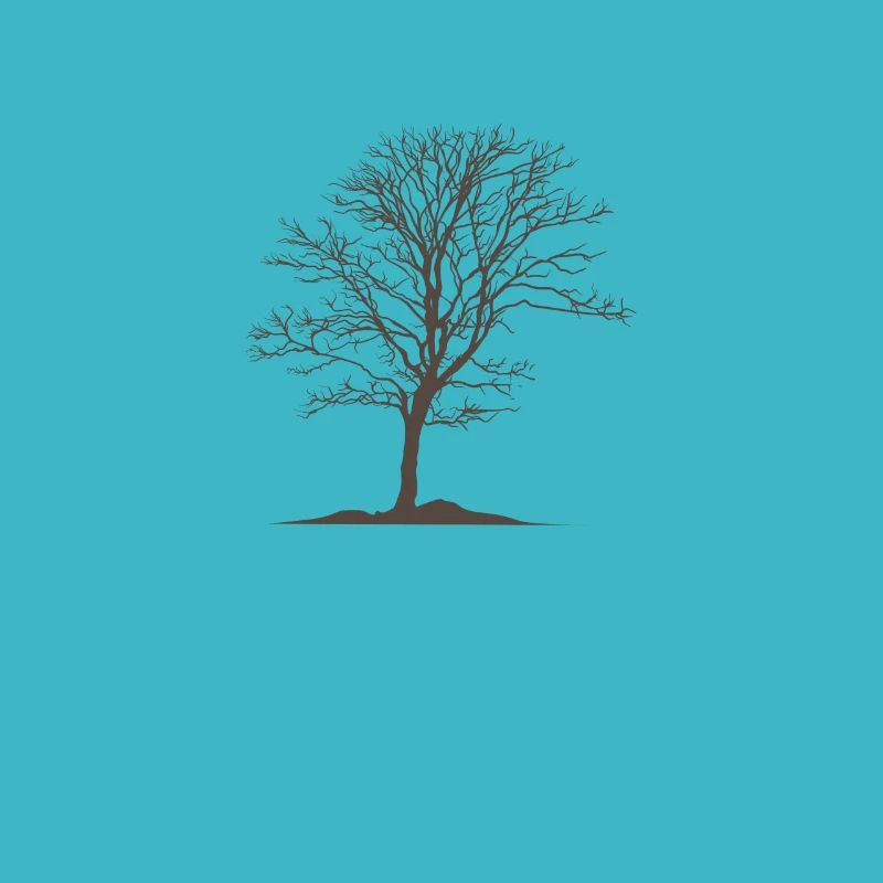 Tree without leaves Nature Forests Environment