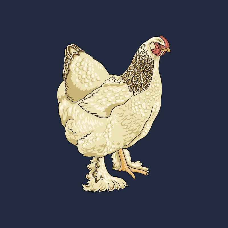 Brahma