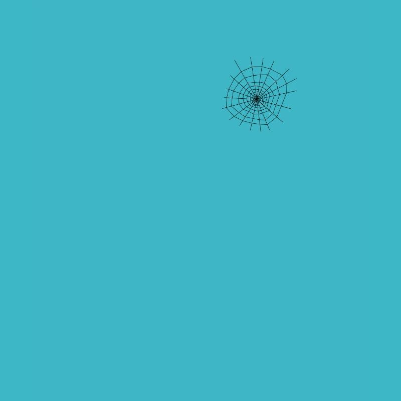 Spinnennetz