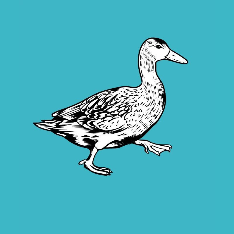 Dessin noir et blanc - Canard