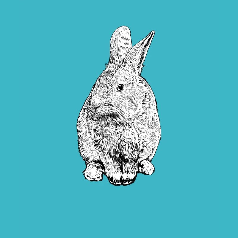 Dessin noir et blanc - lapin
