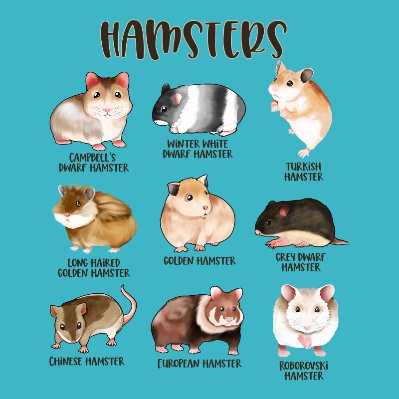 Lots of different hamsters