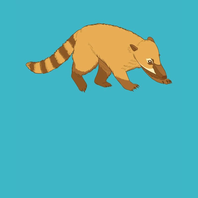 Nasenbär Coati
