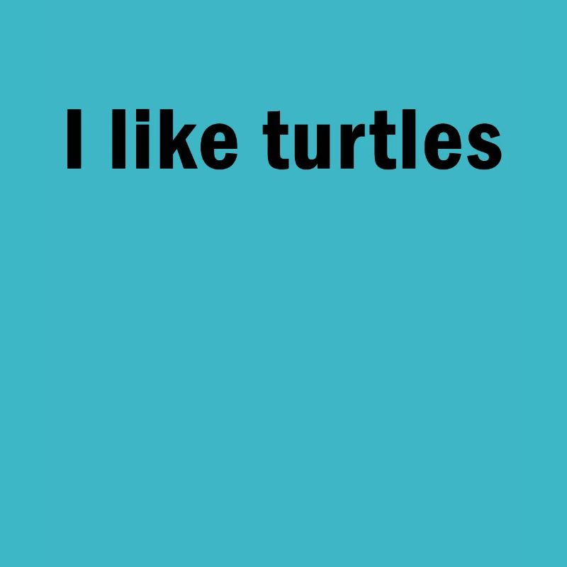 I Like Turtles Turtle