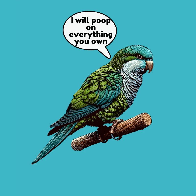 Quaker Parrot Monk Parakeet