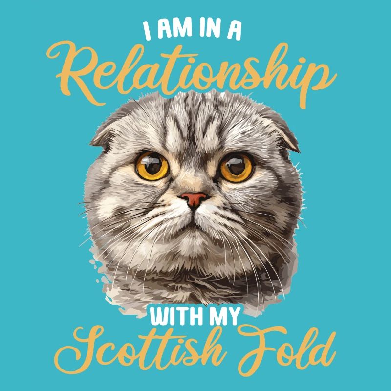 Scottish Fold Kitten Scottish Fold Cat