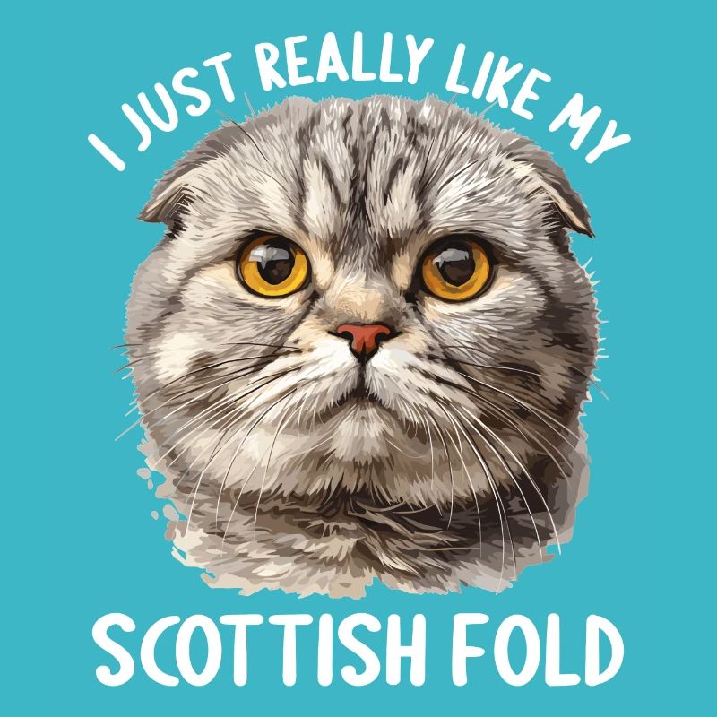Scottish Fold Kitten Scottish Fold Cat