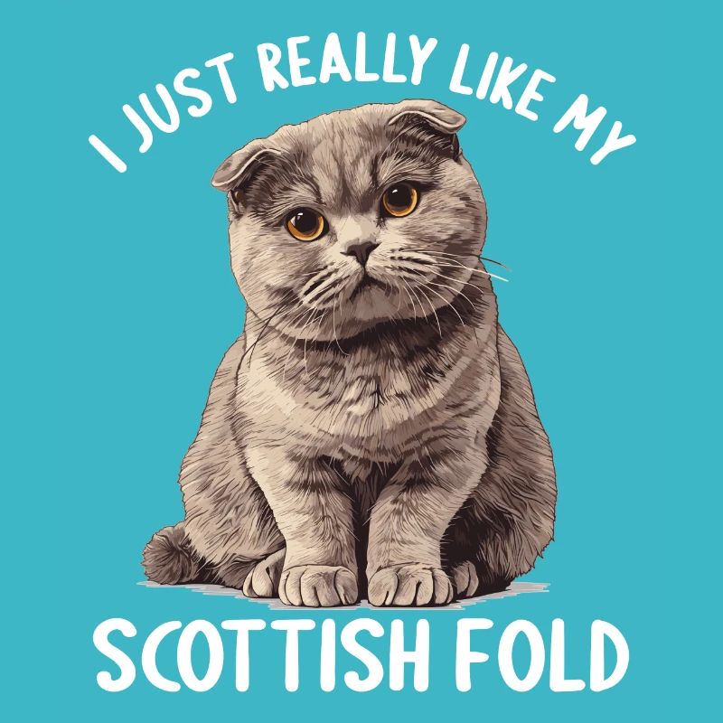 Scottish Fold Kitten Scottish Fold Cat