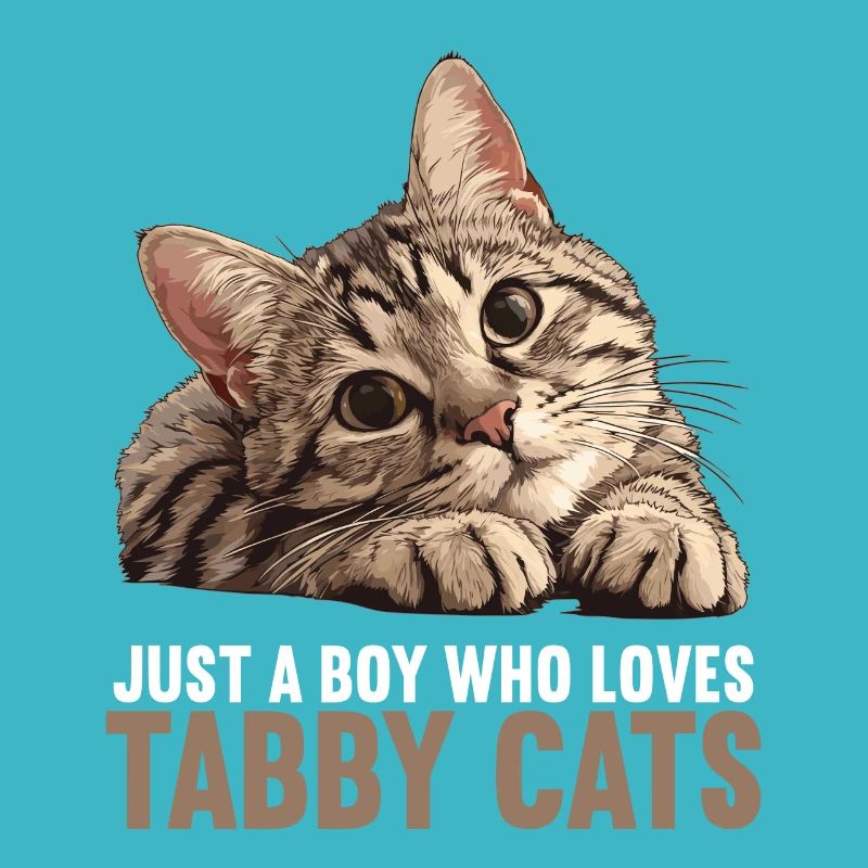 Tabby Kitten Tabby Cat