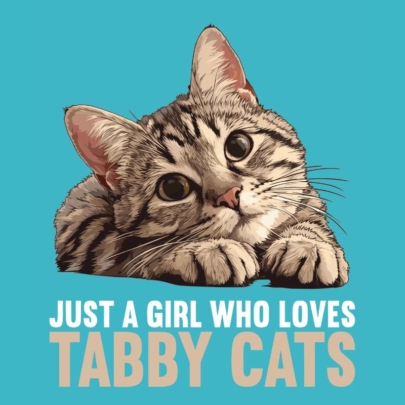 Tabby Kitten Tabby Cat